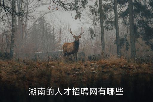 湖南的人才招聘網有哪些