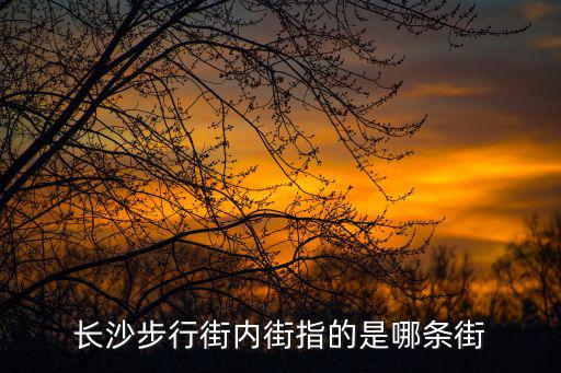 長沙步行街，長沙步行街內街指的是哪條街