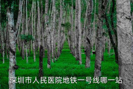 深圳市人民醫院地鐵一號線哪一站