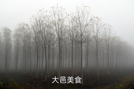 大邑美食