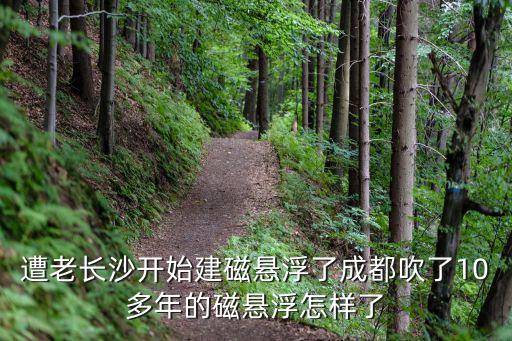 長沙磁懸浮，長沙的磁浮列車在哪里可以坐