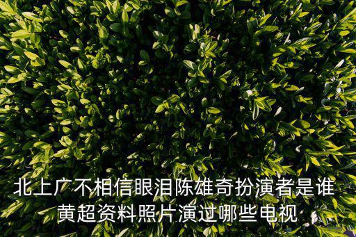 北上廣不相信眼淚陳雄奇扮演者是誰 黃超資料照片演過哪些電視