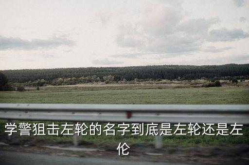 左倫，左倫哪點(diǎn)比沙鷹強(qiáng)啊 為什么它和沙鷹價(jià)一樣 為什么只有下士才能買它