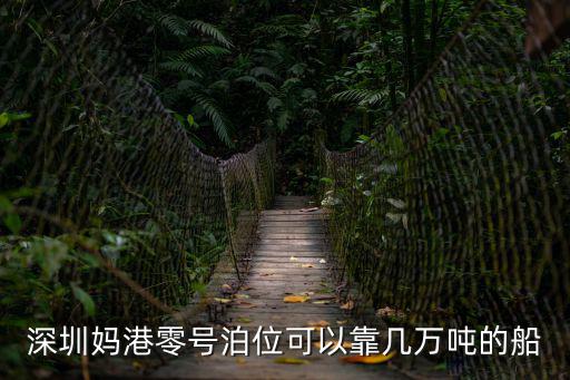 媽灣跨海通道，深圳市南山區(qū)媽灣大道在哪個(gè)流域