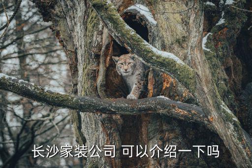 長沙裝飾公司，長沙都有哪些裝飾公司靠譜呢