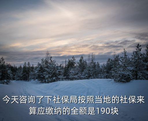 今天咨詢了下社保局按照當地的社保來算應繳納的全額是190塊