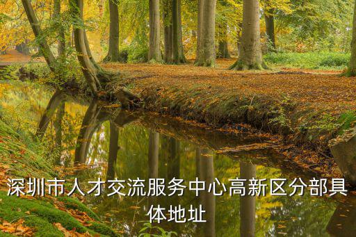 深圳市人才交流服務中心高新區分部具體地址