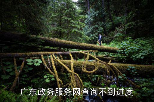 廣東政務服務網查詢不到進度