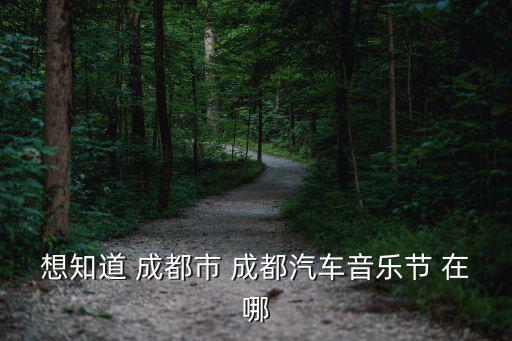 汽車音樂節，佛山升平百貨25號嘉年華汽車音樂節只要是玩什么的