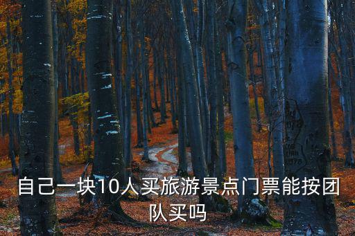 自己一塊10人買(mǎi)旅游景點(diǎn)門(mén)票能按團(tuán)隊(duì)買(mǎi)嗎