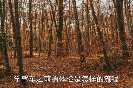 學駕車之前的體檢是怎樣的流程