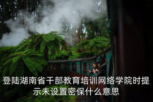 登陸湖南省干部教育培訓(xùn)網(wǎng)絡(luò)學(xué)院時提示未設(shè)置密保什么意思