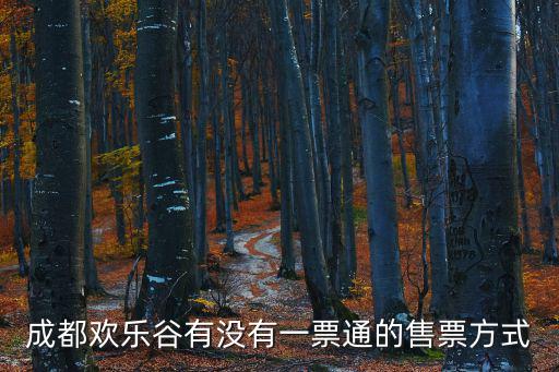 成都歡樂谷有沒有一票通的售票方式
