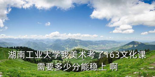 湖南工業大學我美術考了163文化課需要多少分能穩上 啊