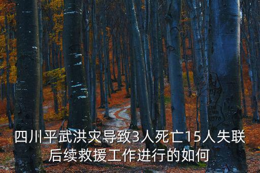 四川平武洪災導致3人死亡15人失聯后續救援工作進行的如何