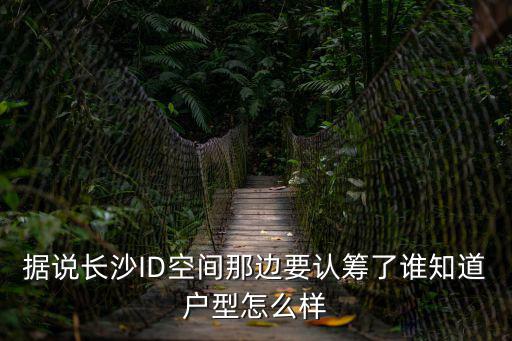 據說長沙ID空間那邊要認籌了誰知道戶型怎么樣