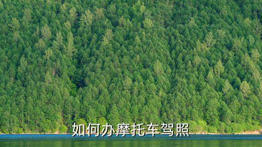 如何辦摩托車駕照