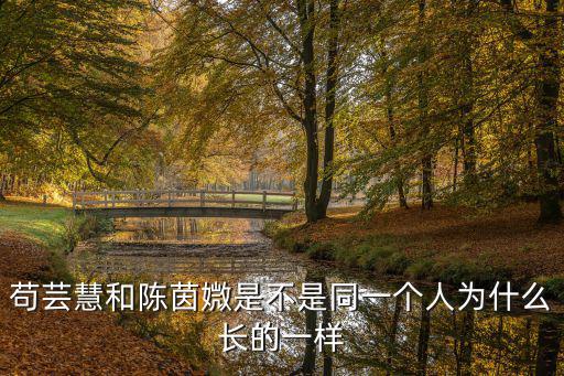 茍蕓慧和陳茵媺是不是同一個(gè)人為什么長(zhǎng)的一樣