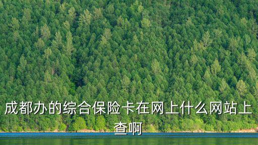 成都辦的綜合保險卡在網(wǎng)上什么網(wǎng)站上查啊