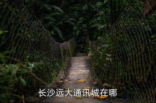 長沙遠大通訊城在哪