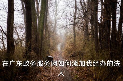 廣東政務服務網官網，廣東政務服務賬號是啥