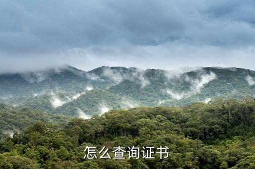 證書查詢網站，如何查詢一個證書被國家所認可