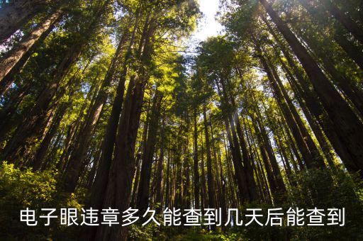 電子眼查詢，怎樣在網上查電子眼