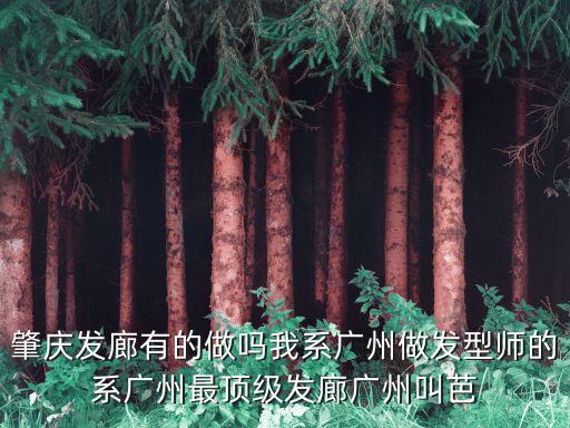 肇慶發廊有的做嗎我系廣州做發型師的系廣州最頂級發廊廣州叫芭