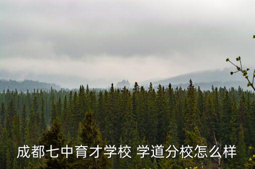 成都七中育才學校 學道分校怎么樣