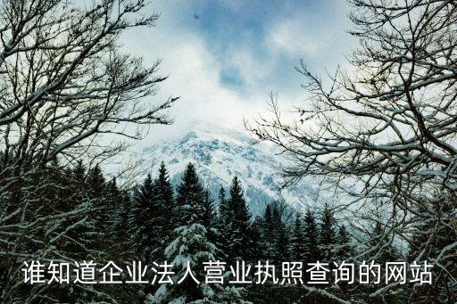 查營業(yè)執(zhí)照的網(wǎng)站，營業(yè)執(zhí)照在什么網(wǎng)站上可以查到