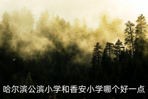 哈爾濱公濱小學(xué)和香安小學(xué)哪個(gè)好一點(diǎn)