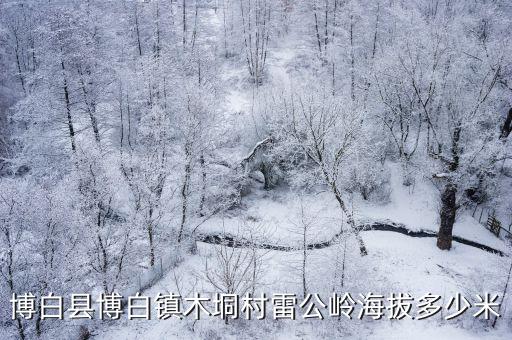 博白縣博白鎮木垌村雷公嶺海拔多少米