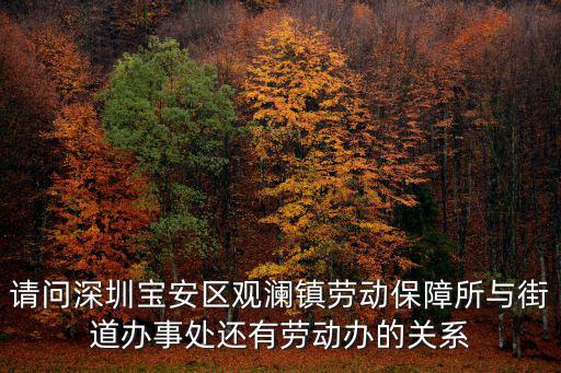 請問深圳寶安區(qū)觀瀾鎮(zhèn)勞動保障所與街道辦事處還有勞動辦的關(guān)系