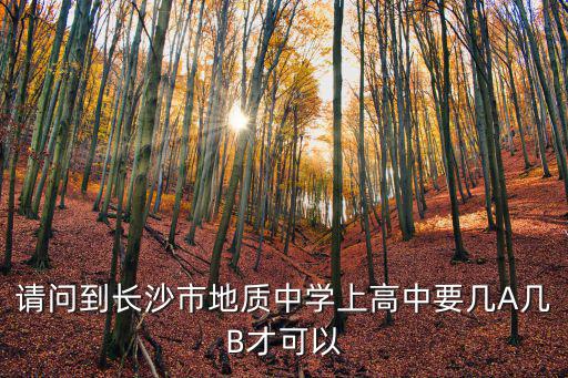 長沙地質(zhì)中學，長沙的國防科大附中和地質(zhì)中學