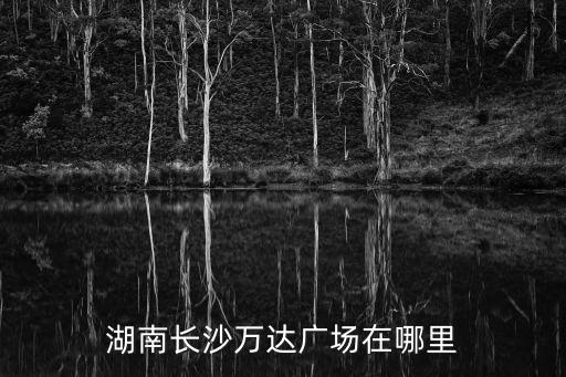 湖南長沙萬達(dá)廣場在哪里