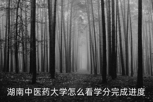 湖南中醫藥大學怎么看學分完成進度