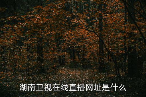 湖南衛(wèi)視在線直播網(wǎng)址是什么