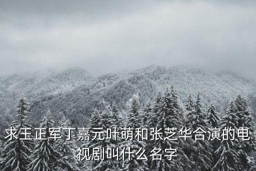 求王正軍丁嘉元葉萌和張芝華合演的電視劇叫什么名字