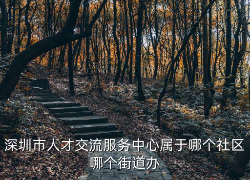 深圳人才服務(wù)中心，深圳市人才交流服務(wù)中心高新區(qū)分部具體地址
