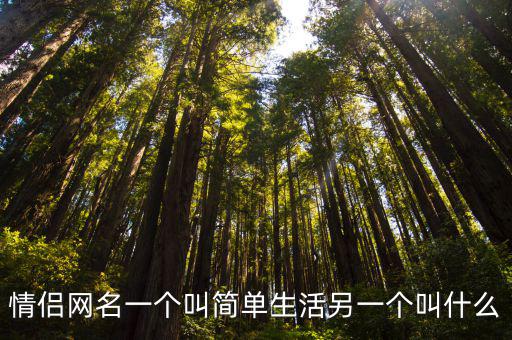 簡單生活節(jié)，情侶網(wǎng)名一個(gè)叫簡單生活另一個(gè)叫什么