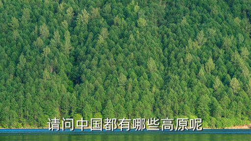 請問中國都有哪些高原呢