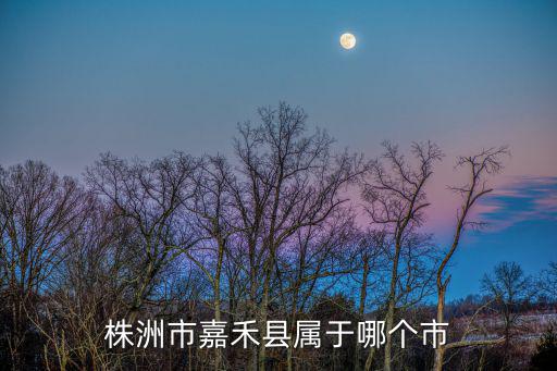 株洲市嘉禾縣屬于哪個市