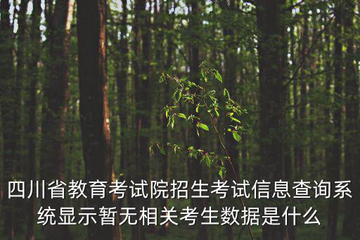 四川省教育考試院招生考試信息查詢系統顯示暫無相關考生數據是什么