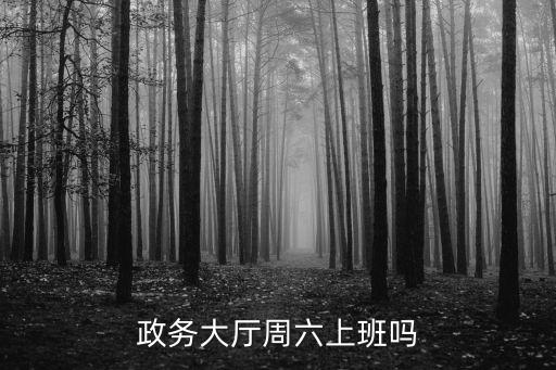 政務大廳上班時間，政務大廳周六上班嗎