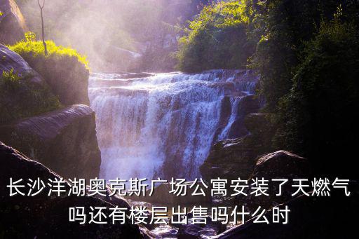 長沙洋湖奧克斯廣場公寓安裝了天燃?xì)鈫徇€有樓層出售嗎什么時(shí)