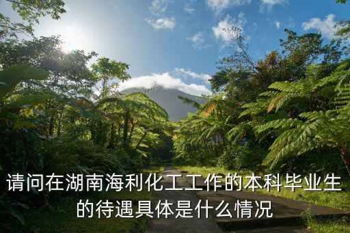 請(qǐng)問(wèn)在湖南海利化工工作的本科畢業(yè)生的待遇具體是什么情況