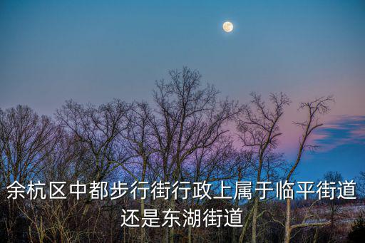 余杭區中都步行街行政上屬于臨平街道還是東湖街道