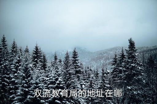 雙流區教育局，雙流教育局的地址在哪