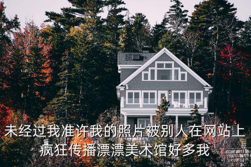 漂漂亮美術(shù)館，這樣的網(wǎng)站侵權(quán)了嗎