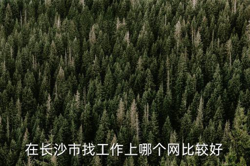 在長沙市找工作上哪個(gè)網(wǎng)比較好
